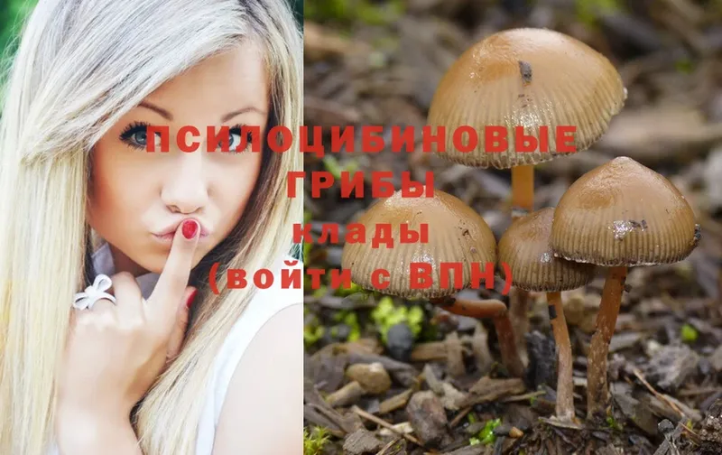 даркнет сайт  Лосино-Петровский  Галлюциногенные грибы MAGIC MUSHROOMS 